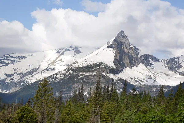 Celownik górskim w parku narodowym glacier, montana — Zdjęcie stockowe