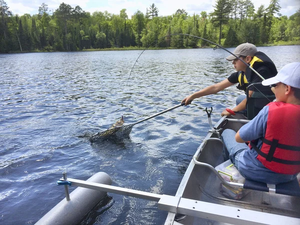 Los niños que pescan en una canoa atrapan a un walleye —  Fotos de Stock