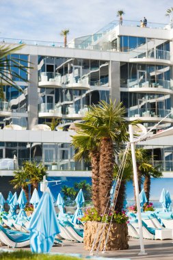 Sahile yakın dinlenme alanının manzarası, otelin dışı ve palmiye ağaçları.