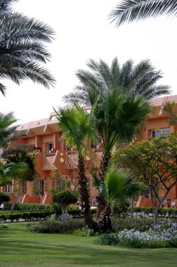 Mısır resort