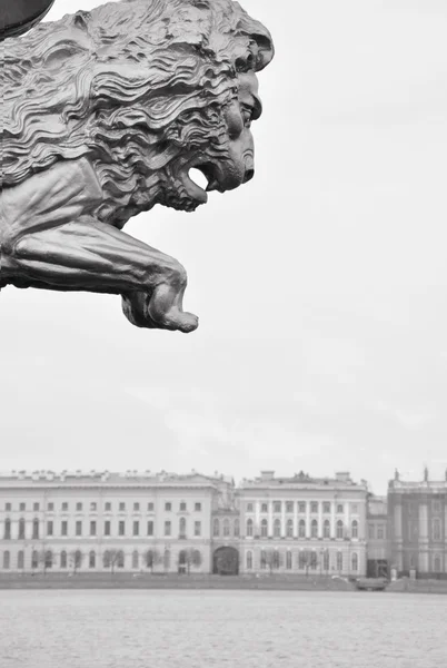 Leão de Petersburgo — Fotografia de Stock
