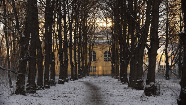 alley in the city park on  winter day on the background of  mansion