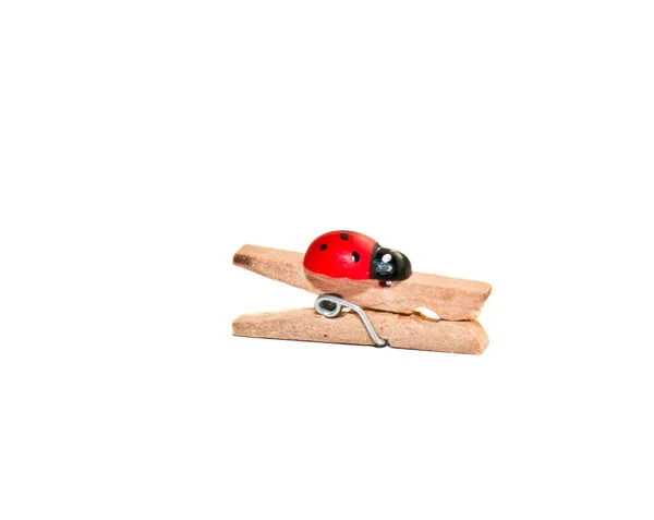 Wooden clothespeg with a ladybug — Stock Photo, Image