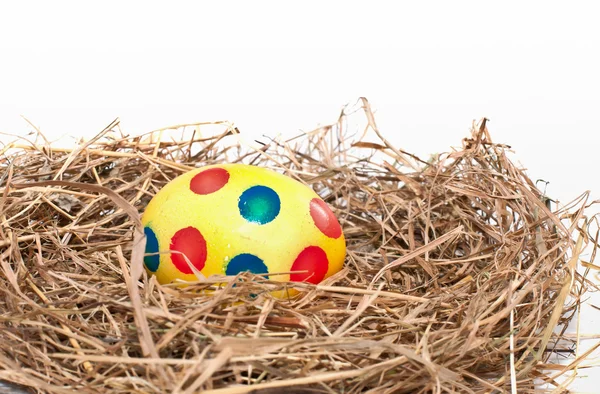 Nest with easter egg — Stock Photo, Image