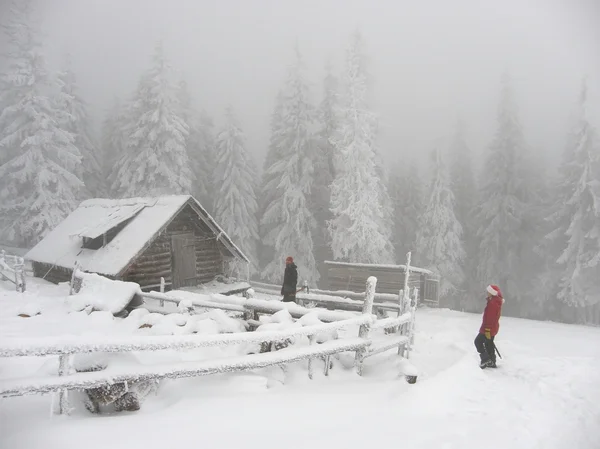 Зима в горах Карпат — стоковое фото
