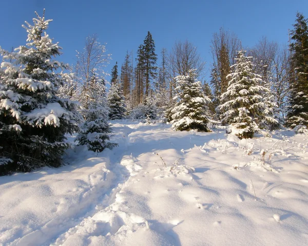 Vinter i bergen i Karpaterna — Stockfoto