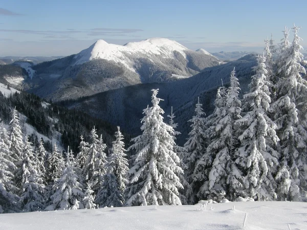 Zima na horách Karpat — Stock fotografie