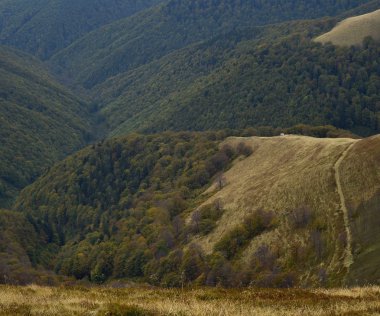 Ukrayna Karpat mountain