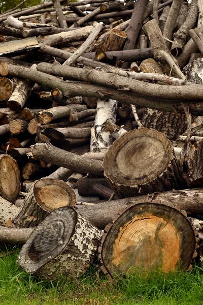 Firewood on a grass — Stock Photo, Image