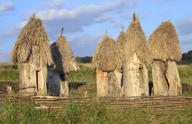 eski ahşap kuş Yuvaları