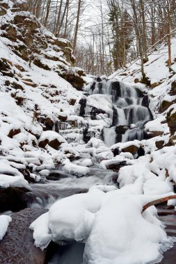 Nehirle birlikte kış manzarası