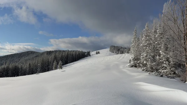 Inverno nas montanhas dos Cárpatos — Fotografia de Stock