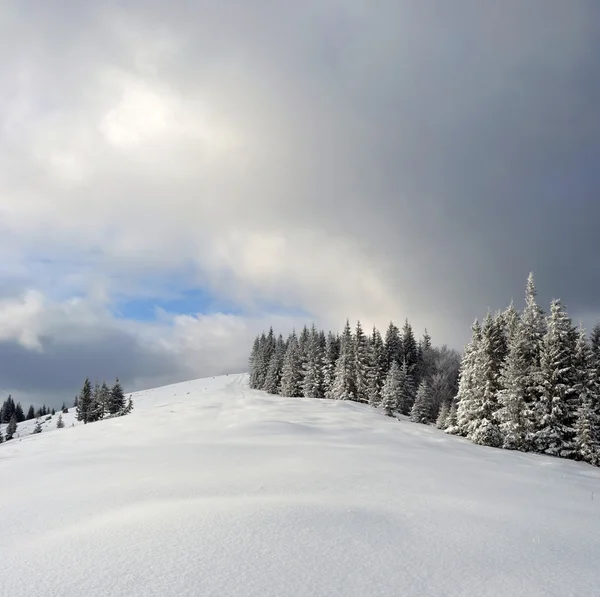Paisaje invernal en las montañas de los Cárpatos — Foto de Stock