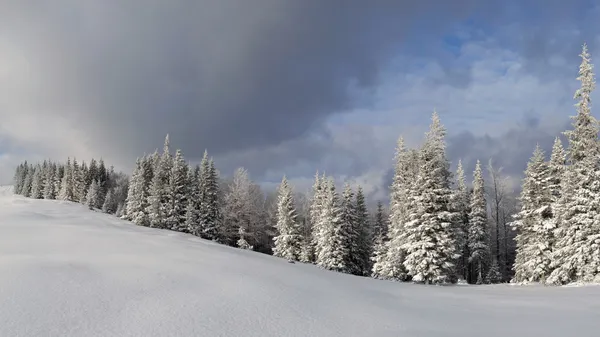 Paisaje invernal en las montañas de los Cárpatos — Foto de Stock