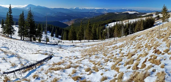 Panorama zimowego krajobrazu w górach — Zdjęcie stockowe