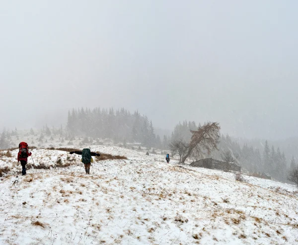 Hiking in the snowstorm in Carpathian — Stock Photo, Image