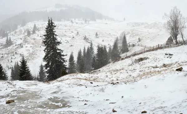 Tempestade de neve nas montanhas . — Fotografia de Stock