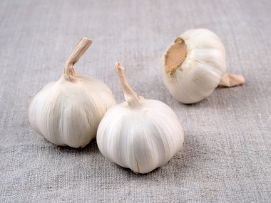 çuval bezi üzerine sarımsak