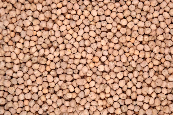 Chick-peas background — Stock Photo, Image