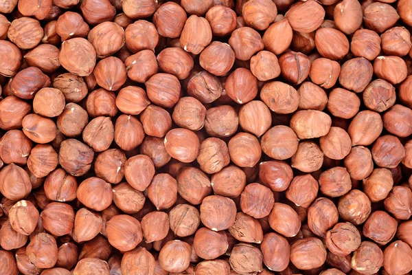 Peeled hazelnut background — Stock Photo, Image