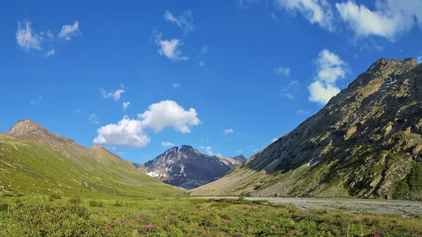 Góry Tien shan w Kazachstanie — Zdjęcie stockowe