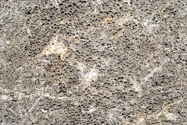 Textura de piedra marina — Foto de Stock