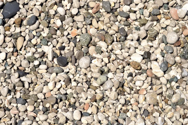 Sea pebbles — Stock Photo, Image