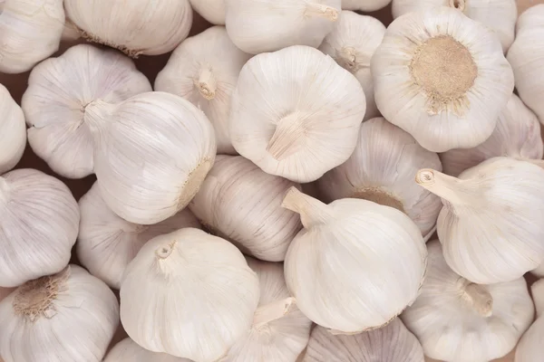Pile of Garlic — Stock Photo, Image