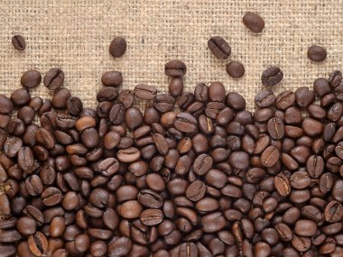 kahve çekirdekleri ehlileştirmek arka planda