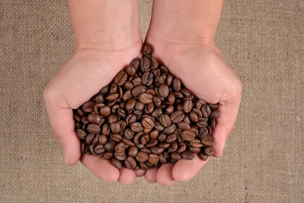 Chicchi di caffè nelle mani — Foto Stock