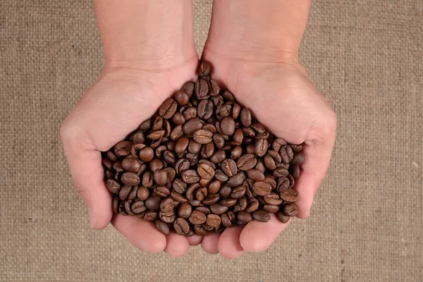 Coffee beans in the hands