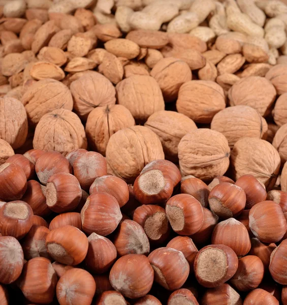 Assorted nuts background — Stock Photo, Image