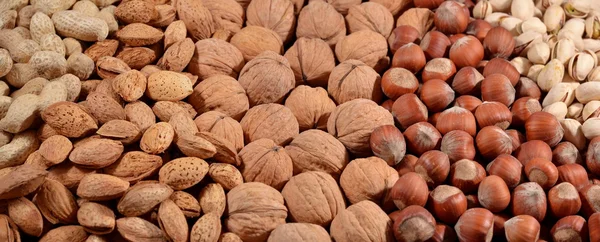 Assorted nuts background — Stock Photo, Image