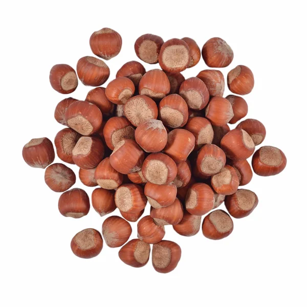 Heap of hazelnuts — Stock Photo, Image
