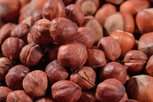 Heap of hazelnuts — Stock Photo, Image