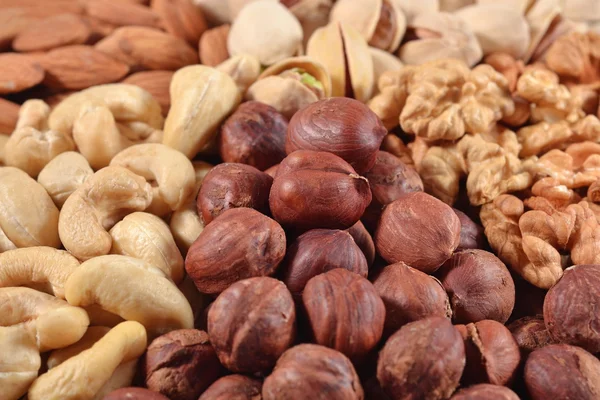 Heap of nuts close up — Stock Photo, Image