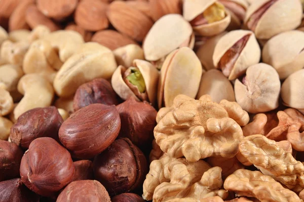 Heap of nuts close up — Stock Photo, Image