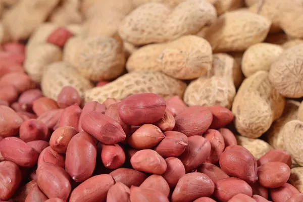 Högen av jordnötter — Stockfoto