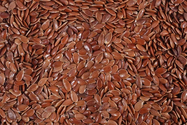 Linseed background — Stock Photo, Image