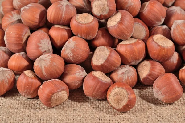 Hazelnuts in a sacking — Stock Photo, Image