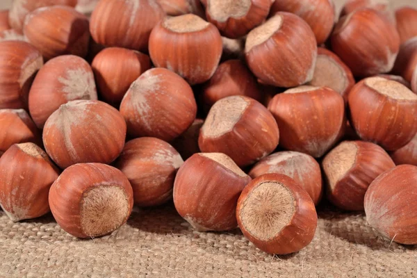 Hazelnuts in a sacking — Stock Fotó