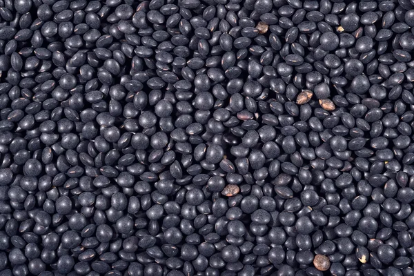 Black raw lentil background — Stock Photo, Image