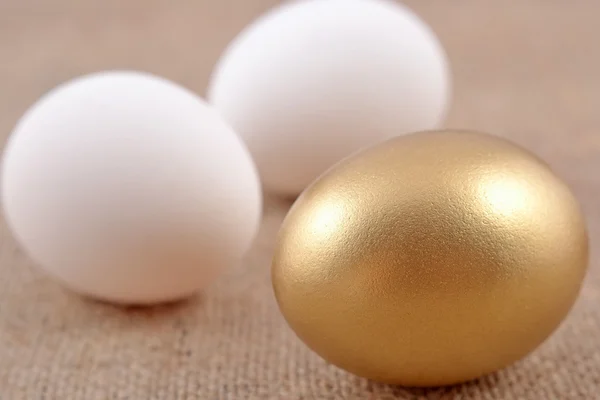 Золоте яйце і яєчня — стокове фото