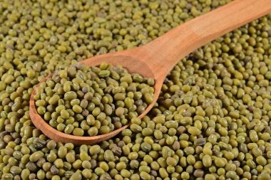 bir kaşık yeşil mung fasulye