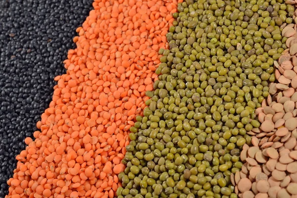 Mixture of lentils and beans — Stock Photo, Image