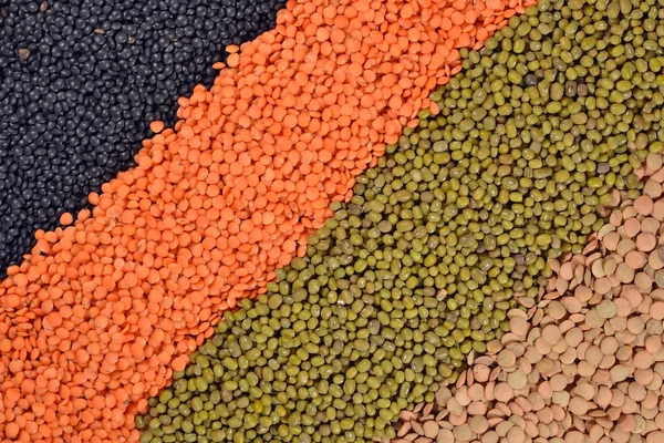 Mixture of lentils and beans — Stock Photo, Image