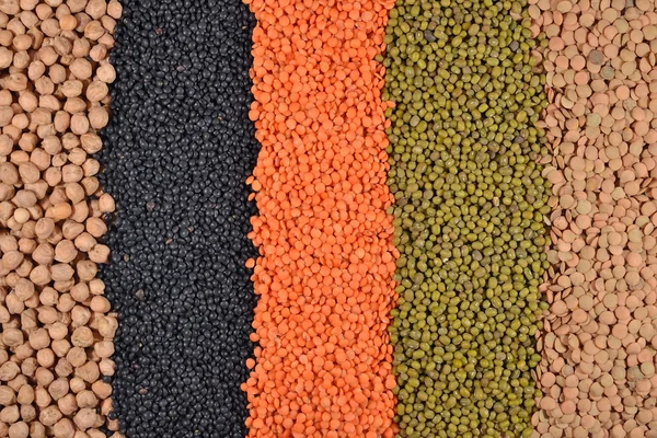 Mixture of lentils and beans — Stock Photo, Image