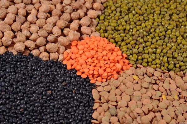 干小扁豆和大豆的混合物 — 图库照片