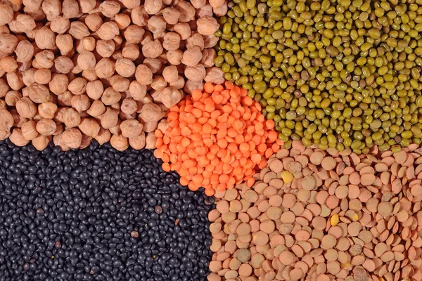 Mixture of dried lentils and beans — Stock Photo, Image