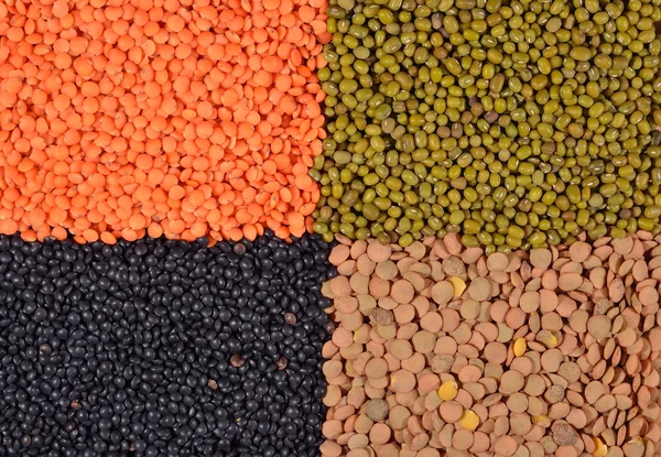 乾燥レンズ豆と豆の混合物 — ストック写真